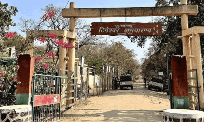 टिपेश्वर वन्यजीव अभयारण्य