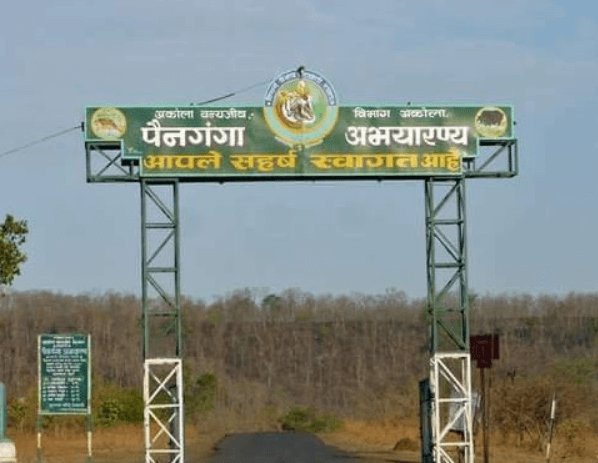 पैनगंगा वन्यजीव अभयारण्य