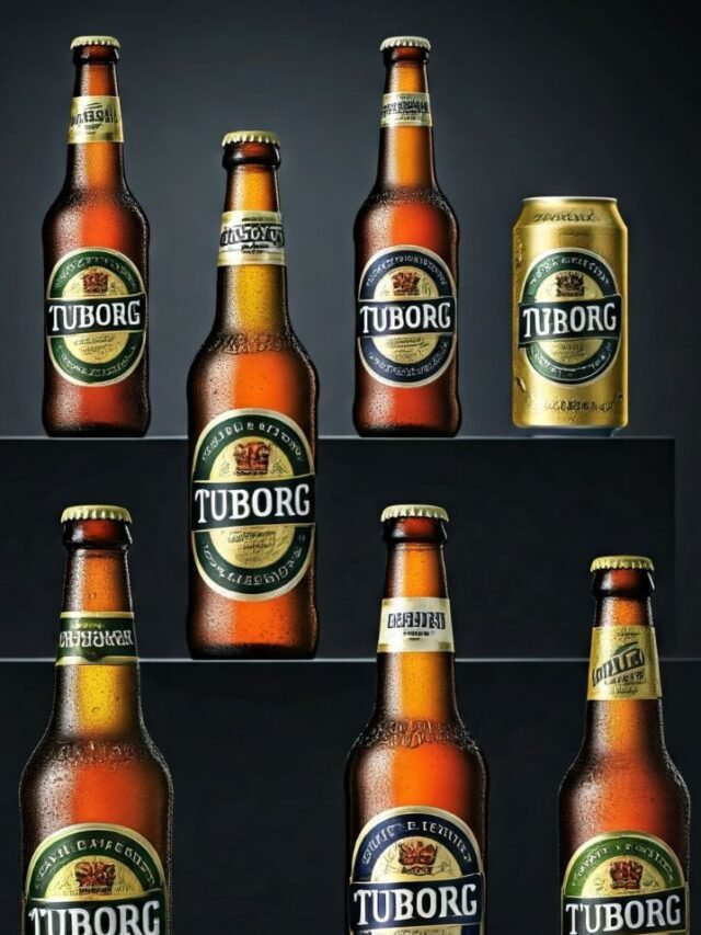 Tuborg Beer Price Insights for Beer Lovers